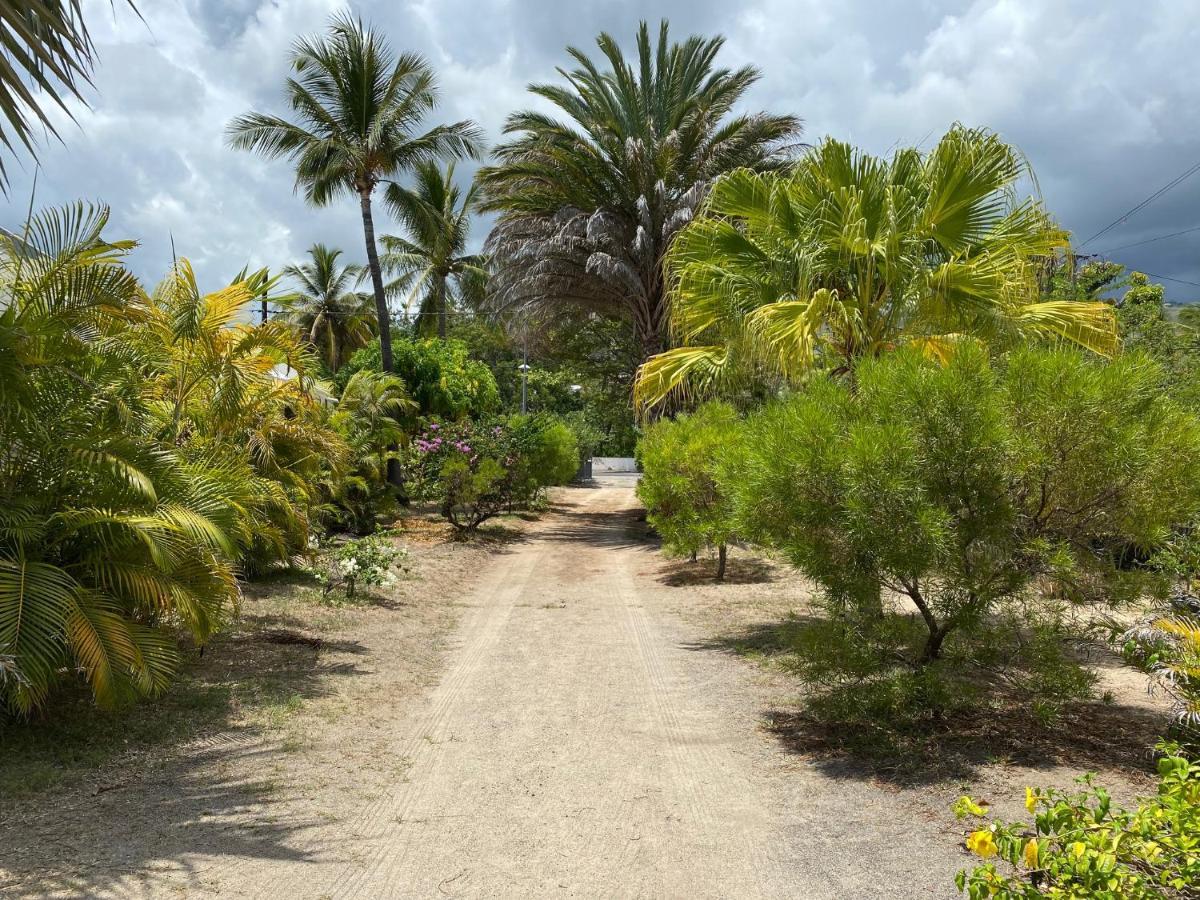 Villa & Bungalow 'Coco Des Sables' Les Pieds Dans L'Eau La Saline Le Bains Luaran gambar